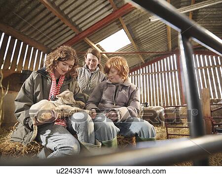 Farmer & Children With Lambs View Large Photo Image Stock Image - Farmer & Children With Lambs. Fotosearch