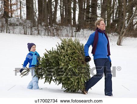 Father and son carrying christmas tree View Large Photo Image Picture - Father and son carrying christmas tree. Fotosearch