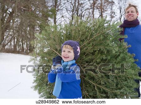 Father and son carrying christmas tree View Large Photo Image Stock Image - Father and son carrying christmas tree. Fotosearch