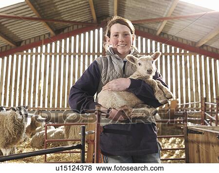 Female Farmer Holding Lamb View Large Photo Image Stock Photo - Female Farmer Holding Lamb. Fotosearch