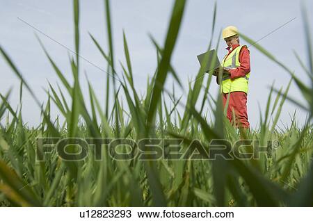 Stock Image - Female surveying countryside. Fotosearch