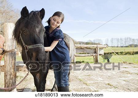 Girl combing a pony View Large Photo Image Stock Image - Girl combing a pony. Fotosearch