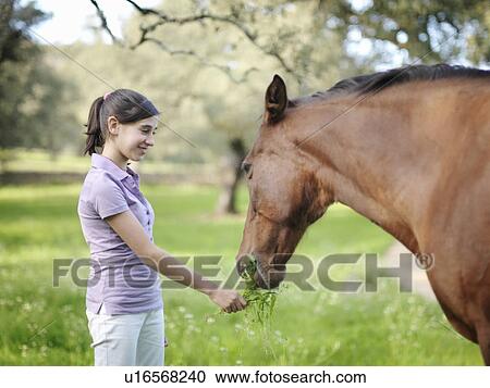 Stock Image - Girl giving grass to horse. Fotosearch