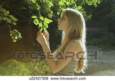 Girl looking at tree in forest View Large Photo Image Stock Photo - Girl looking at tree in forest. Fotosearch