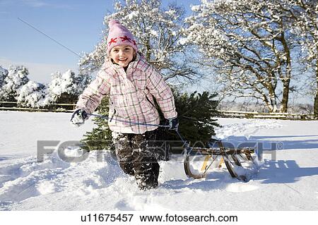 Girl pulling sledge in the snow View Large Photo Image Stock Photo - Girl pulling sledge in the snow. Fotosearch