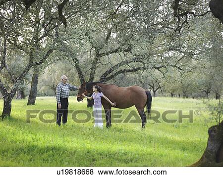 Grandad and granddaughter stroking horse View Large Photo Image Stock Photo - Grandad and granddaughter stroking horse. Fotosearch