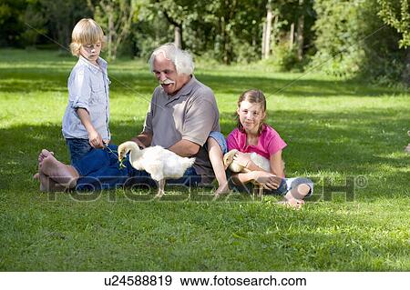Grandfather and grandchildren with geese View Large Photo Image Stock Photo - Grandfather and grandchildren with geese. Fotosearch