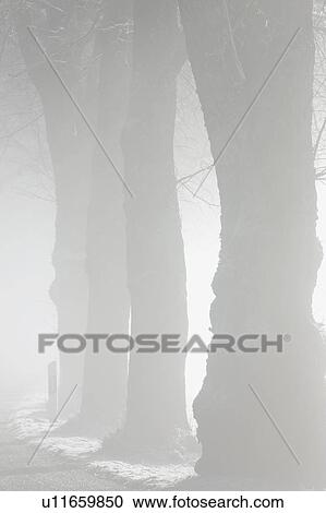 Stock Image - Landscape in winter. Fotosearch