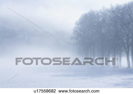 Stock Image - Landscape in winter. Fotosearch