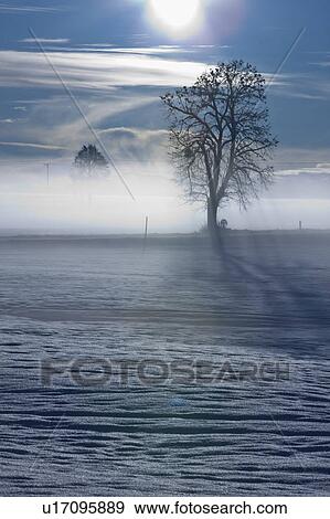 Landscape in winter View Large Photo Image Stock Photo - Landscape in winter. Fotosearch