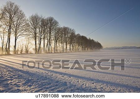 Landscape in winter View Large Photo Image Stock Photo - Landscape in winter. Fotosearch