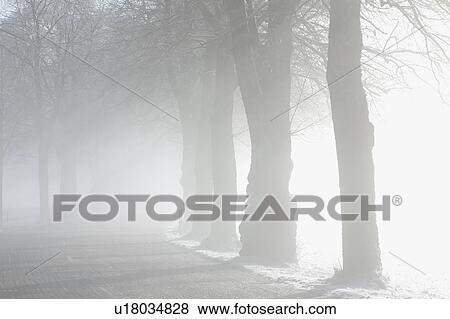 Landscape in winter View Large Photo Image Stock Photo - Landscape in winter. Fotosearch