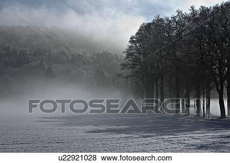 Stock Photo - Landscape in winter. Fotosearch