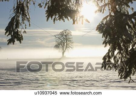 Landscape in winter View Large Photo Image Stock Photography - Landscape in winter. Fotosearch