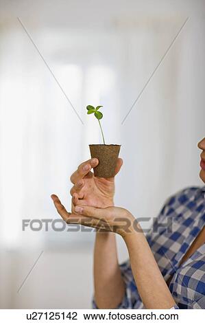 Stock Image - Little plant. Fotosearch