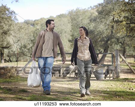 Man and woman on farm with cattle feed View Large Photo Image Stock Image - Man and woman on farm with cattle feed. Fotosearch