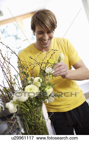 Man arranging flowers View Large Photo Image Stock Photo - Man arranging flowers. Fotosearch