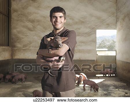 Stock Photo - Man holding a piglet in pen. Fotosearch