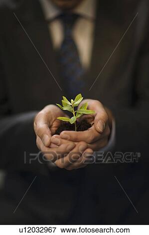 man holding plant in hands View Large Photo Image Stock Photo - man holding plant in hands. Fotosearch