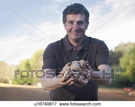 Man holding potatoes to be sowed View Large Photo Image Stock Photo - Man holding potatoes to be sowed. Fotosearch