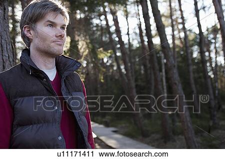 Man in sunlit forest scenery View Large Photo Image Stock Image - Man in sunlit forest scenery. Fotosearch