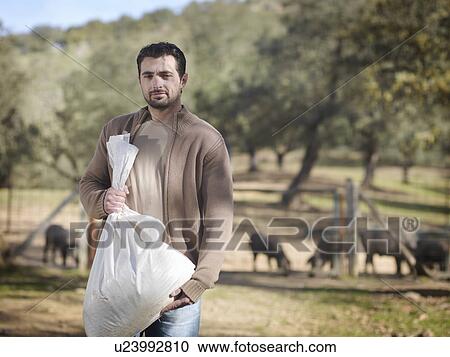 Man on farm holding bag of cattle feed View Large Photo Image Stock Image - Man on farm holding bag of cattle feed. Fotosearch