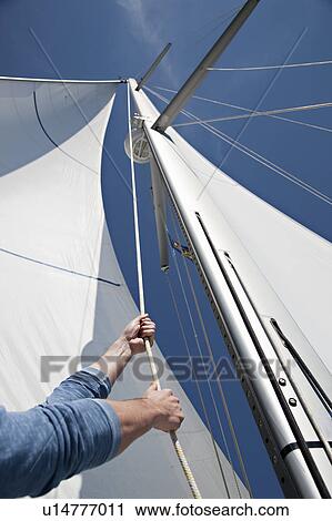Man pulling ropes on yacht View Large Photo Image Stock Image - Man pulling ropes on yacht. Fotosearch