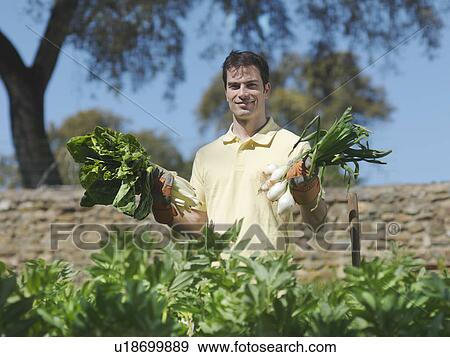 Man showing freshly picked vegetables View Large Photo Image Stock Photo - Man showing freshly picked vegetables. Fotosearch