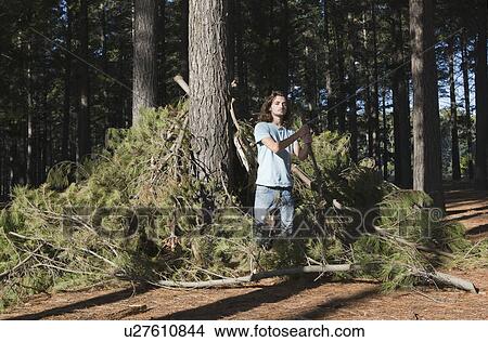 Picture - Man standing in forest. Fotosearch