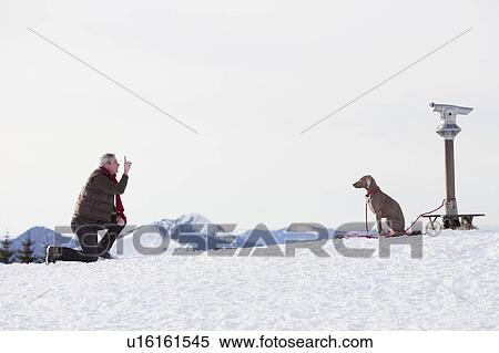 Stock Photography - Man teaching dog to be obedient. Fotosearch