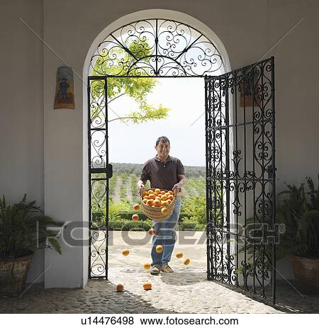 Man with basket full of oranges falling View Large Photo Image Stock Photo - Man with basket full of oranges falling. Fotosearch