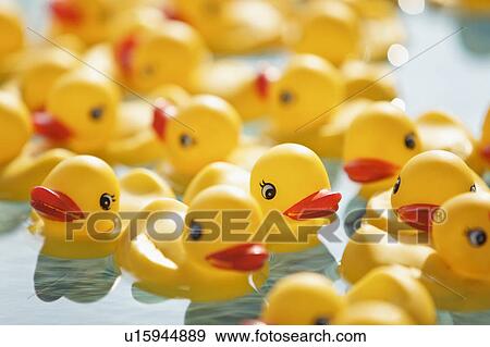 floating rubber ducks