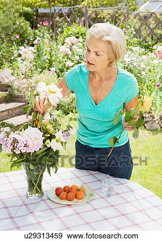 Stock Photo - mature woman arranging flowers in vase.. Fotosearch