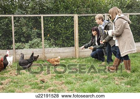 Mother and children feeding chickens View Large Photo Image Stock Photo - Mother and children feeding chickens. Fotosearch