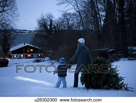 Mother and son carrying christmas tree View Large Photo Image Stock Image - Mother and son carrying christmas tree. Fotosearch