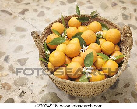 Oranges and flowers in willow basket View Large Photo Image Stock Photograph - Oranges and flowers in willow basket. Fotosearch