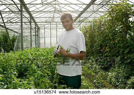 Picture - Organic farming. Fotosearch