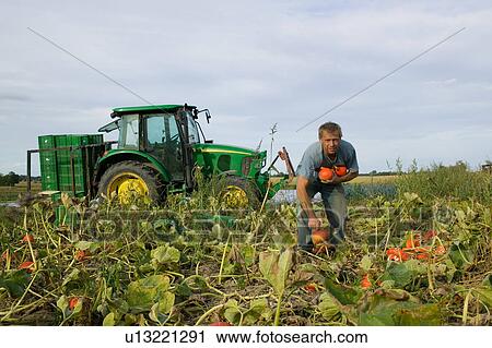 Organic farming View Large Photo Image Stock Image - Organic farming. Fotosearch