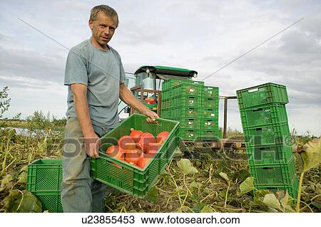 Organic farming View Large Photo Image Stock Image - Organic farming. Fotosearch