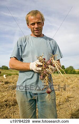 Stock Photo - Organic farming. Fotosearch