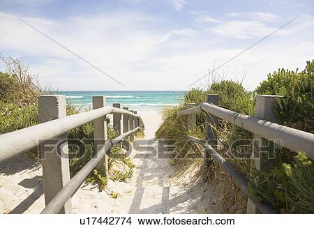 Picture - Path leading to a beach. Fotosearch