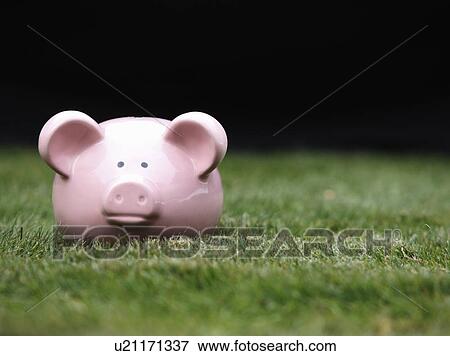 Stock Photo - Piggy bank on grass. Fotosearch