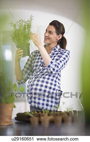 Stock Image - Pregnant woman. Fotosearch