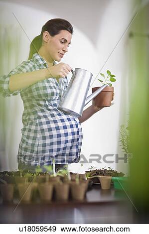 Pregnant woman View Large Photo Image Stock Photo - Pregnant woman. Fotosearch