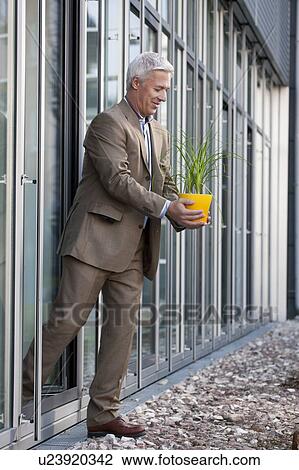 Stock Image - Putting a plant into the sunlight. Fotosearch