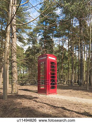 Red telephone box in woods View Large Photo Image Stock Photograph - Red telephone box in woods. Fotosearch