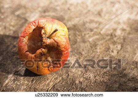 Stock Photo - Rotten Apple. Fotosearch