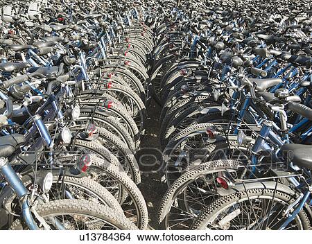 Rows and rows of bicycles View Large Photo Image Picture - Rows and rows of bicycles. Fotosearch
