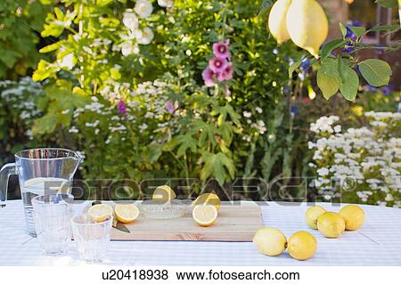 still life of lemons and lemonade jar. View Large Photo Image Stock Photo - still life of lemons and lemonade jar.. Fotosearch
