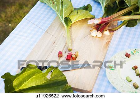 Stock Image - still life of rhubarb on table.. Fotosearch